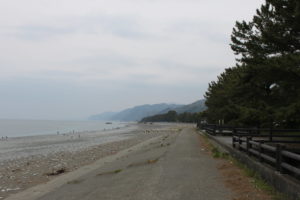 ヒスイ海岸でビーチコーミング